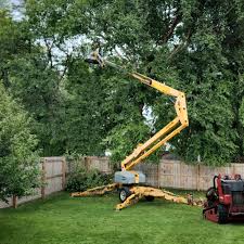 How Our Tree Care Process Works  in  Somers Point, NJ